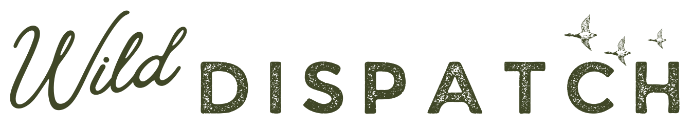 Wild Dispatch